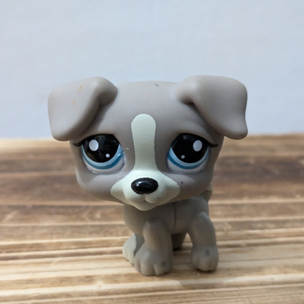 Littlest Pet Shop LPS GREY JACK RUSSEL #1832